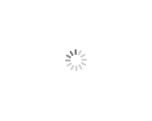 新北樹林華廈法拍