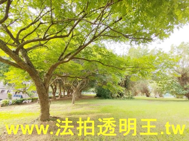 林口拍賣公寓-8