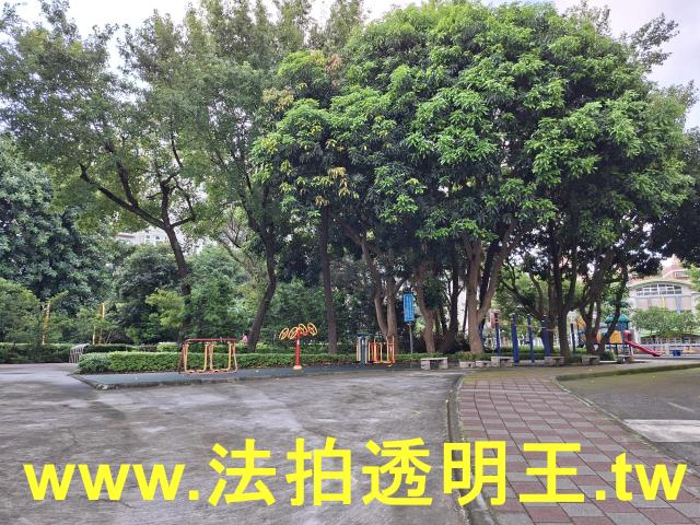 新北五股法拍大樓-3