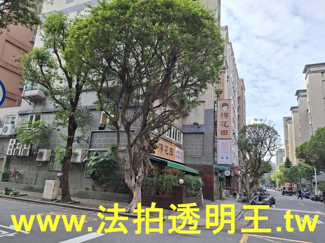 新北新店法拍華廈-9