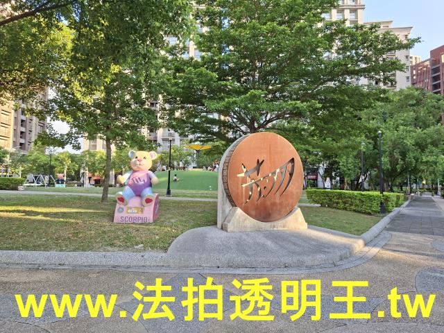新北大樓法拍-11