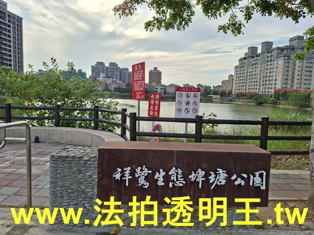 桃園法拍大樓-8